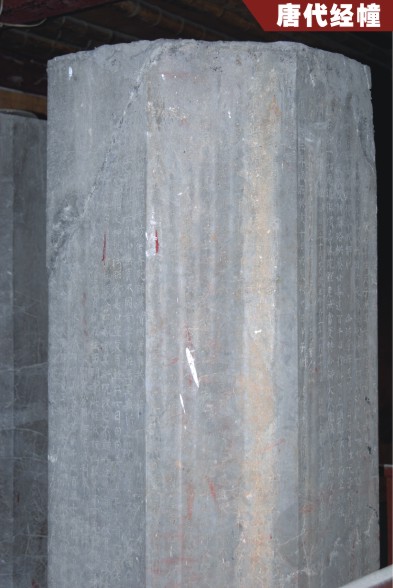 �ƴ�����