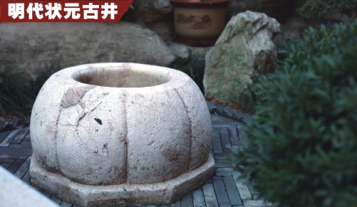 �����ž�