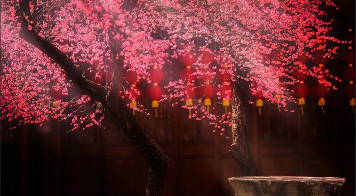 ������� ֻ������